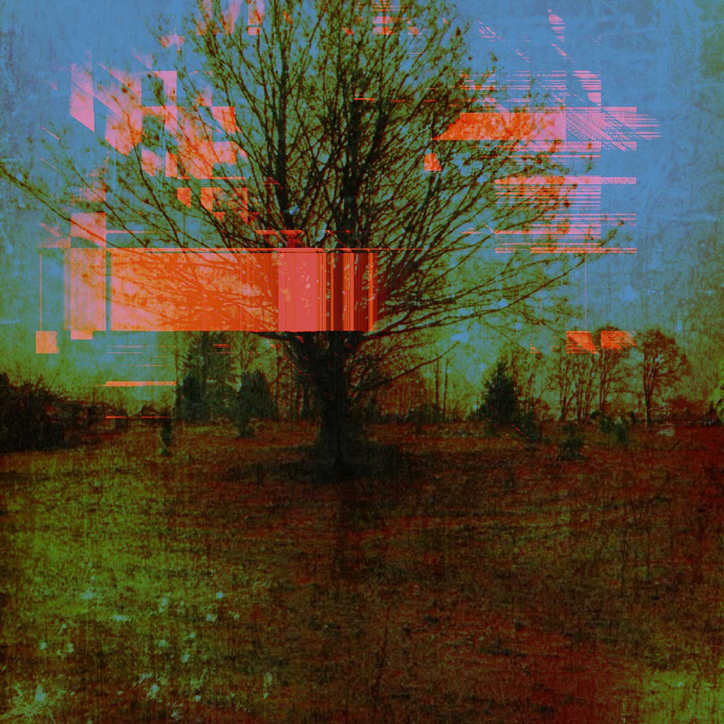 tree with orange abstract