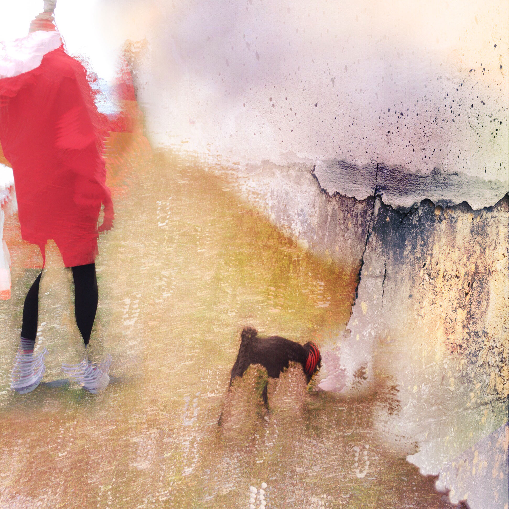 woman in a red coat with a small black dog