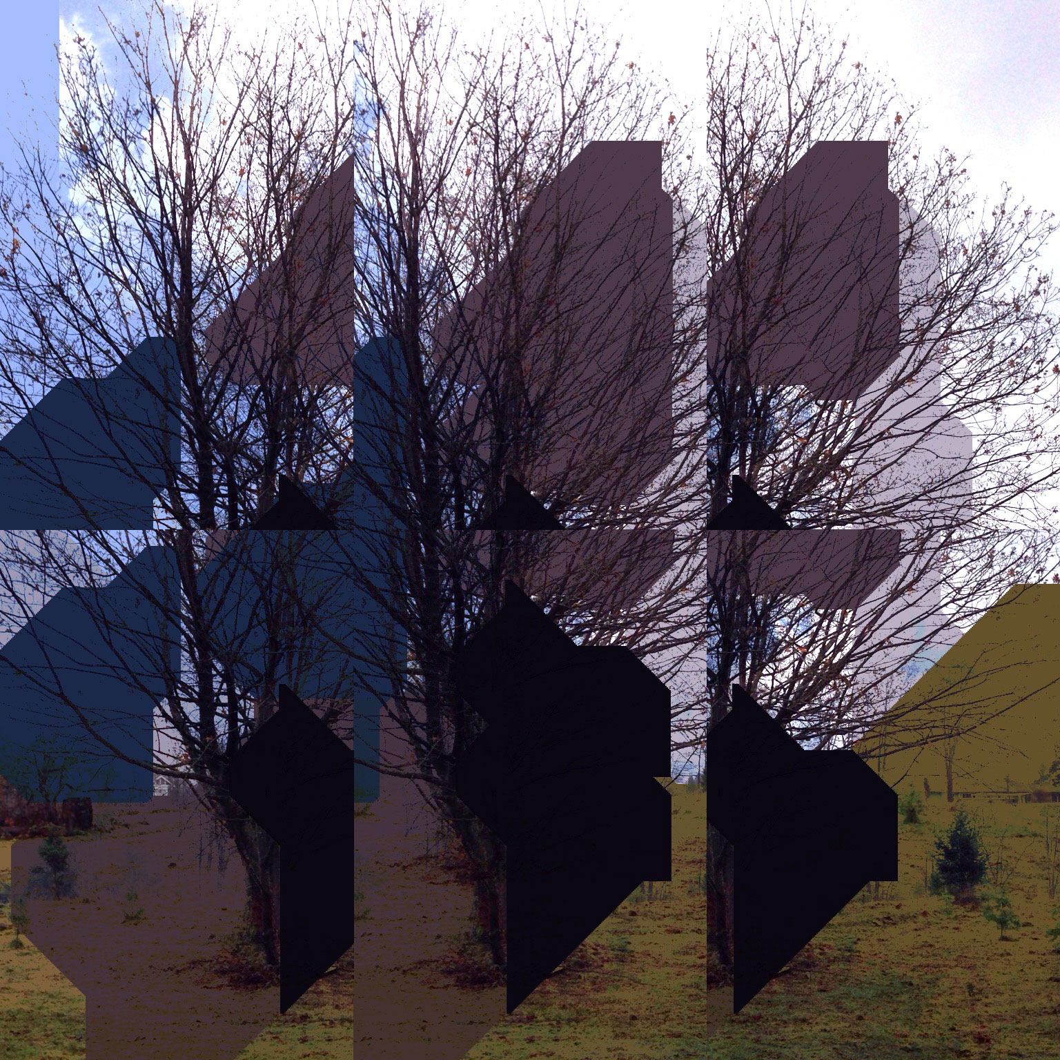 tree with purple abstract