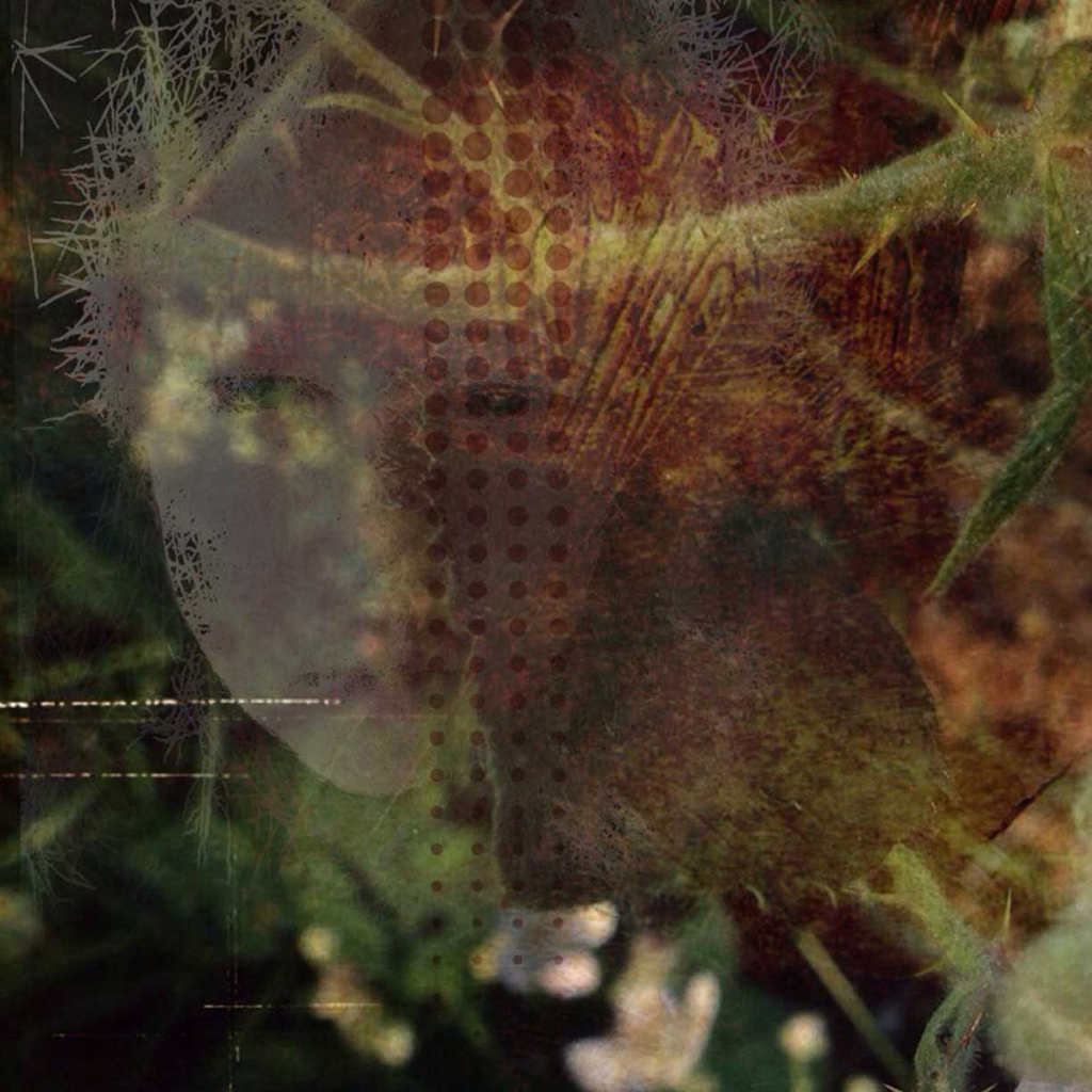 woman face in foliage
