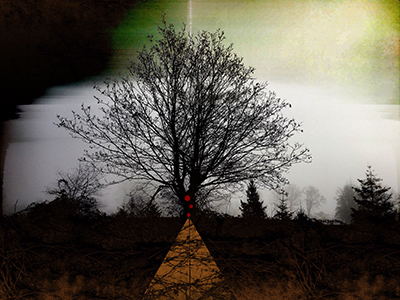 tree with green background