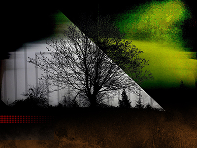 tree with green background