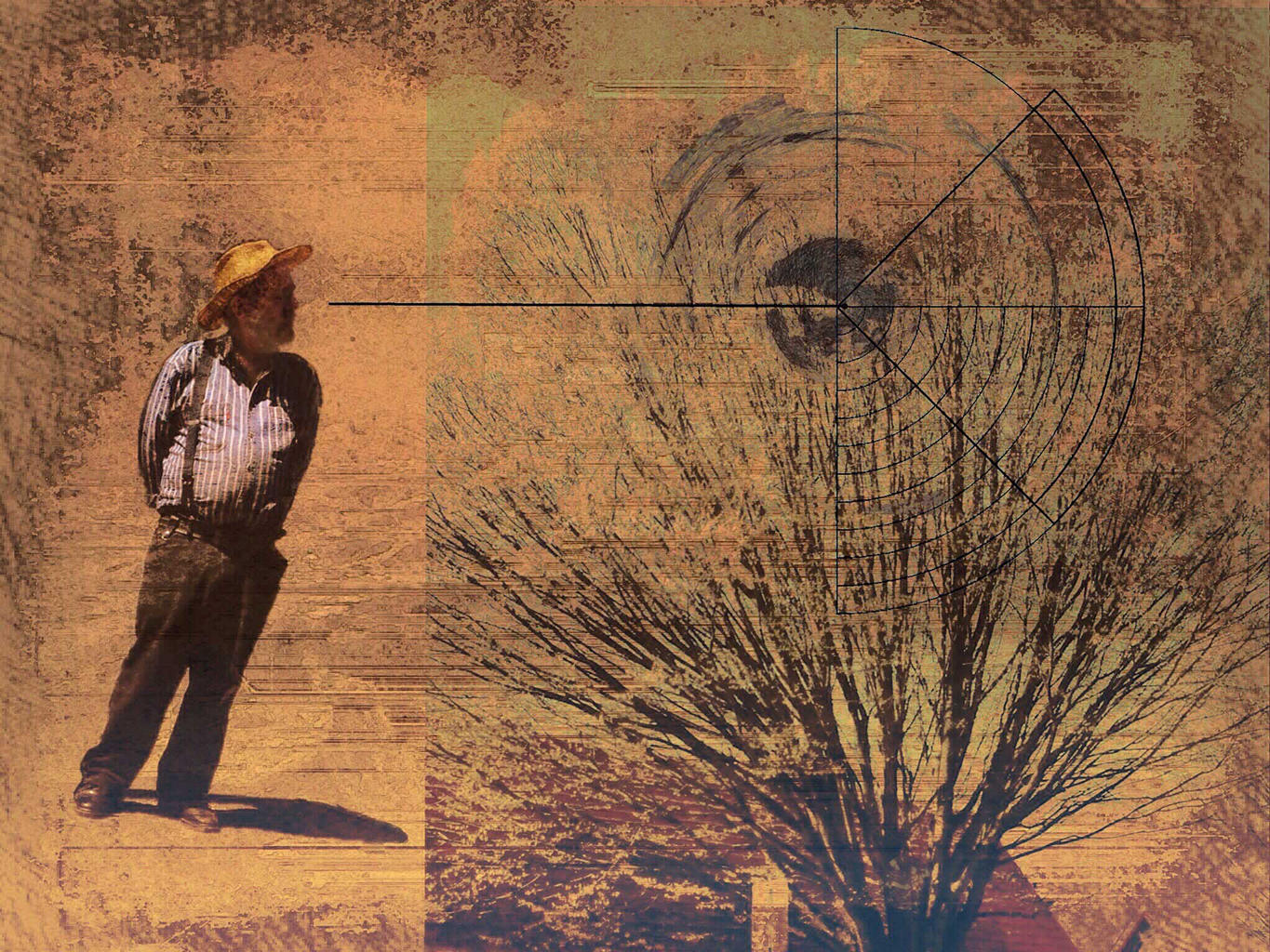 farmer looking at a tree