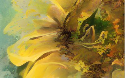 Sunflower Time