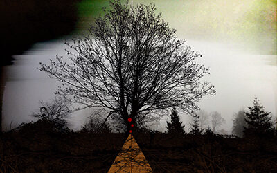 The Tree’s Spirit