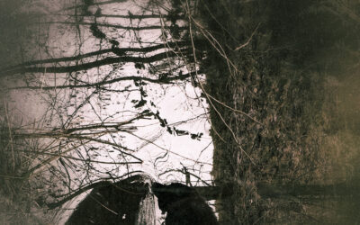 By the Edge of the Lake